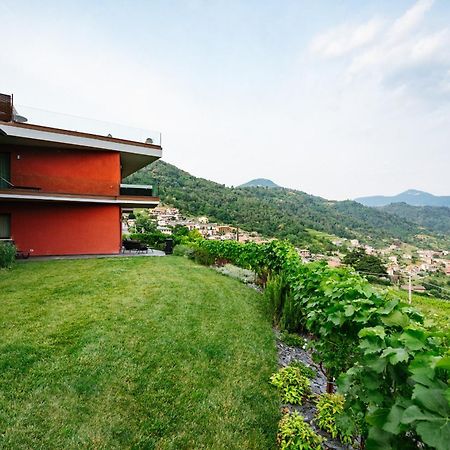 Agriturismo Podere Cavaga Lago D'Iseo Agribio Winery Foresto Sparso Exterior photo